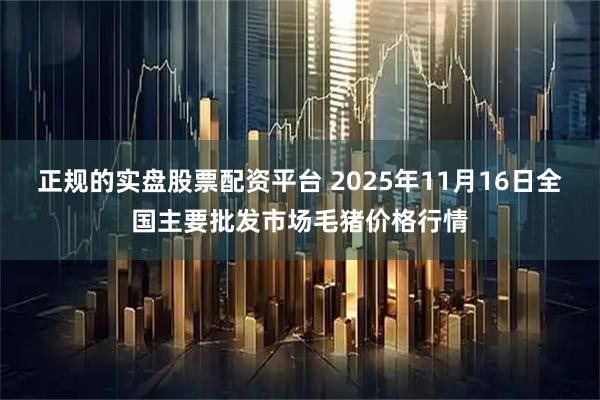正规的实盘股票配资平台 2025年11月16日全国主要批发市场毛猪价格行情